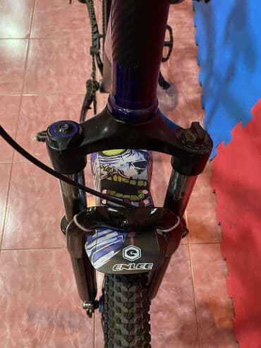 Elektrik velosipedlər: Salam. Ram - alminumdur Tormuz- TANKE Hidrolik əyləclər. Yağ — 4