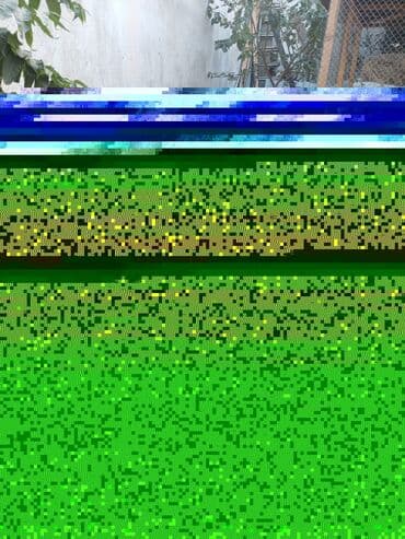 geref quşu: Muscovy (hind) ördəkləri – müxtəlif rənglərdə sürü - Növlər — 2