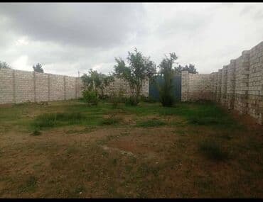 xacmazda torpaq satilir 2021: 6 sot, Tikinti, Makler, Kupça (Çıxarış) — 1