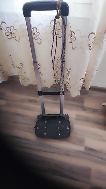 taramira yağı kullananlar: Diqqət bakı may şanısının yarpagı. təmiz abqora və alma, üzüm — 5