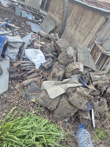 odun kesen mator: Salam odun satilir — 1