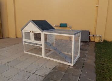 домики для кошек баку: Toyuq yuvası dovşan yuvası
sifariş qəbul olunur — 8