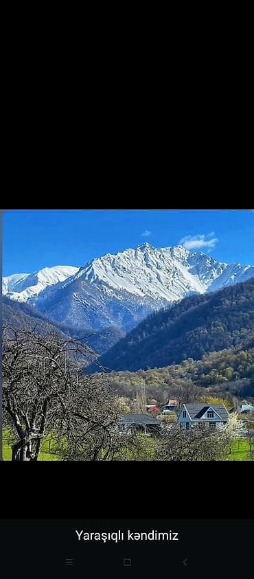 iş elanları bağça: İsmayıllı rayonu İsti su kəndi,Qalacaq yolu üzəri.Evimiz qonaqlarını — 1
