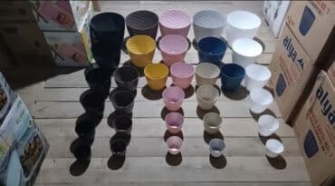 kaybolan yıllar 50: Dibcek Dibcek qabi yumru aq rengli gul.qabi yumru aq rengli dibcek — 3