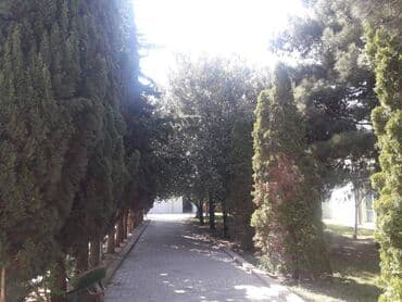 salyanda evlər: 15 otaq, 550 kv. m, Orta təmir — 24