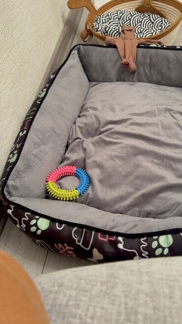 qurbanliq sekilleri: Pudel, 4 ay, Dişi, Peyvəndli, Ünvandan götürmə — 4