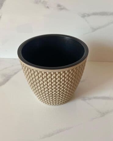 Уличные растения: Dipçəklər plasmas ela yeni 15 sm hündürlük 3 rəngi var yanlız birnin — 5