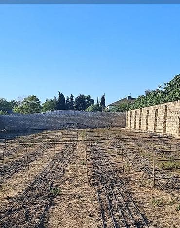 razinde bina evleri: Kənd təsərrüfatı — 3