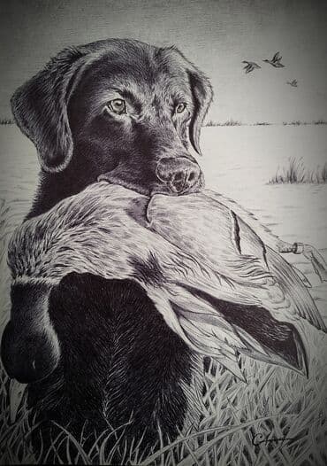 Şəkil və rəsmlər üçün çərçivələr: Salam. Gördüyünüz şəkillər hamısı öz əl işlərimdir və satışdadır — 2