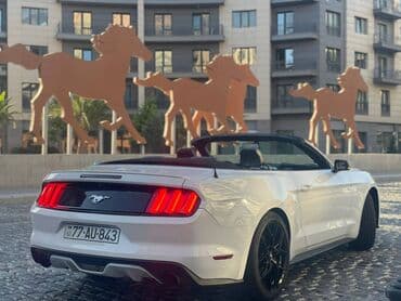 Toy, Nişan və digər tədbirlər üçün sifariş edə bilərsiz. ( Qiymət