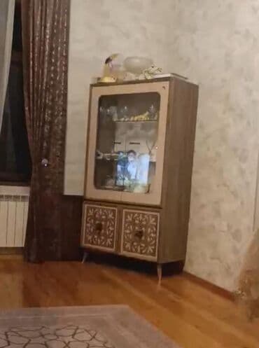 dolab kilidi: Şüşəli dolab vitrini — 1