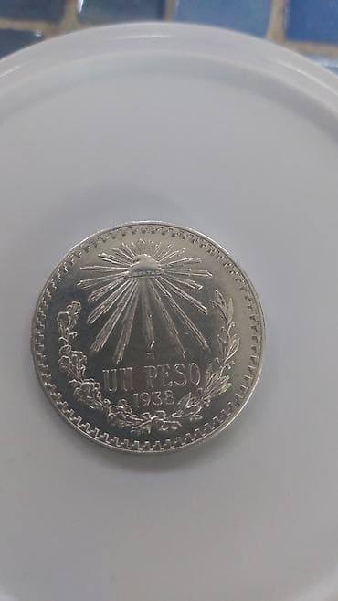 1 1938 il, Gümüş