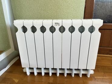 qaz 53 radyatoru: Radiator “Regina” model Yenidir heç istifadə olunmuyub. Real alıcıya — 4