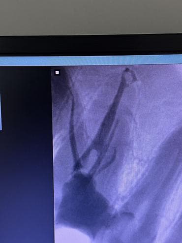 nokia 3310 satilir: Yeni Simsiz (Bluetooth) Qulaqcıqlar, Apple, rəng - Ağ — 3