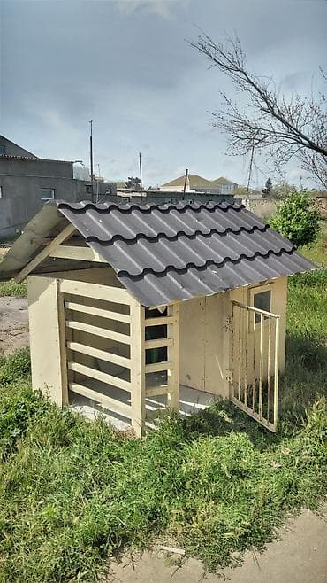 Quş xana tep teze hec işdenmib itde saxlamağ olar tezedi isdifade