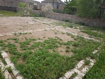 masallı torpaq: Tikinti, Bələdiyyə — 7