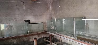 akvarium baliqlari satışı: Salam akvariumlar satisdadi isdiyen eleqe saxlasin — 2