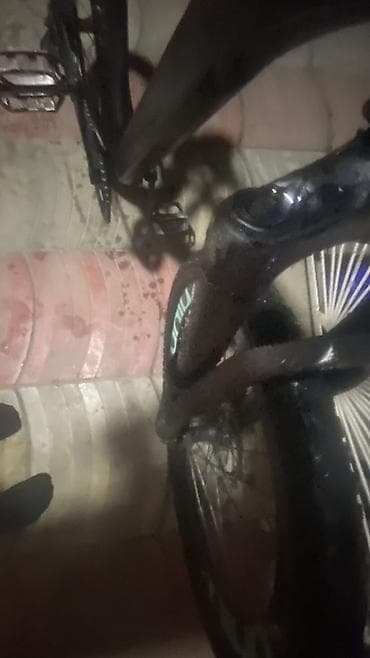 tutacaqlı üçtəkərli velosiped: Dirt/Street tipli tək sürətli velosiped - Geniş, möhkəm alüminium — 2