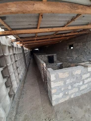 zigda satilan heyet evleri: Mal-qaranın saxlanışı və heyvandarlıq üçün təsərrüfat sahəsi və — 3