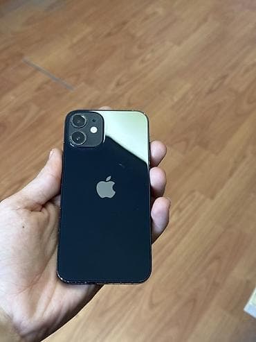 IPhone 12 mini, Qara