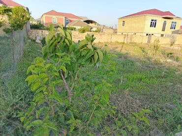 biləcəridə torpaq satılır: 5 sot, Tikinti, Mülkiyyətçi, Bələdiyyə — 4