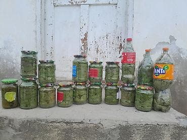 Ləpələr: Yarpaq sayilir oz heyeyimin tebii yarpagidi 500 qramliq banka 2 azn — 2