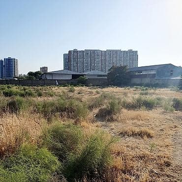 cepis satisi: Biznes üçün, Kupça (Çıxarış) — 5
