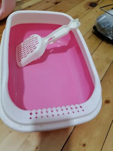 çöl pişiyi: Pişiye aid olan eşyalar. Hamsı yenıdır. Alınıb bir gün istifade — 4