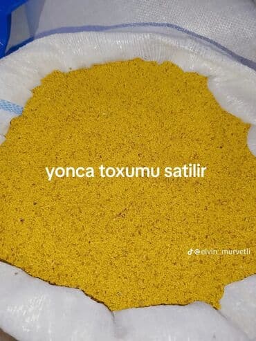 toxumlar: Yonca toxumu satılır. yaxşi məsuldu — 1