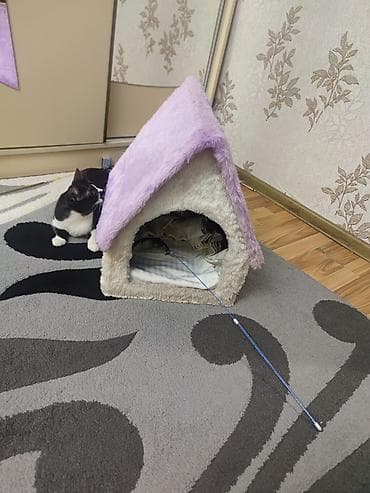 гусь: Pişik evi – yumşaq plyuş materialdan, daxili yastıqlı - Forma: ev — 2