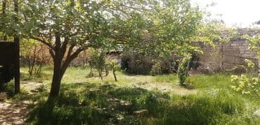 şirvanda satilan torpaqlar: 4 sot, Tikinti — 7