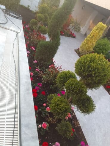 ищу работу садовник на дачу: Salam bağ evlərində, Abyektlərdə parklarda bağban xidməti görülür — 30