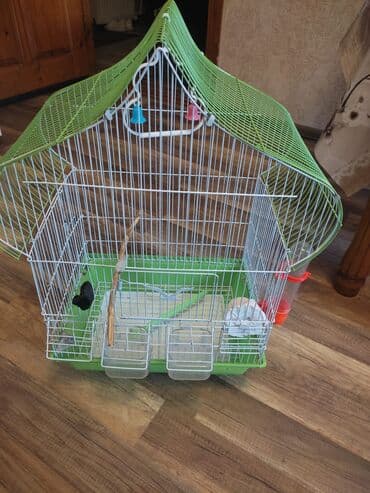 iran qefesi: Quş qəfəsi — 1