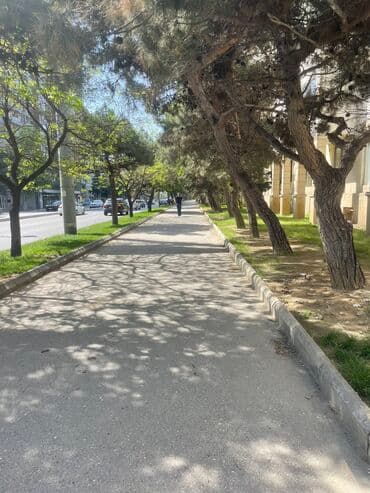 anbar icarəyə verilir: Salam.Zehmet olmasa vapcatla elaqe saxliyin,fikri ciddi olan sexsler — 16