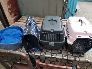 переноска для кошек баку: 6edee Plastik dasimalar 20-25azn yatmaq ucun dosek 10azn suqabi — 1