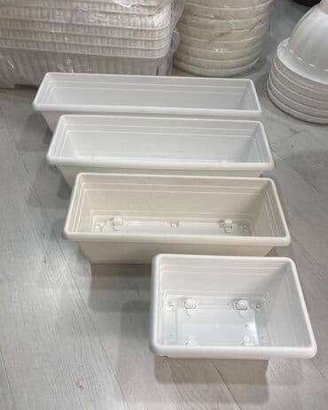 Otaq bitkiləri: Dibcek satisi 🌸 Dibçəklər 🌸 📏 30 sm 📏 50 sm 📏 60 sm 📏 70 sm 💵 — 2