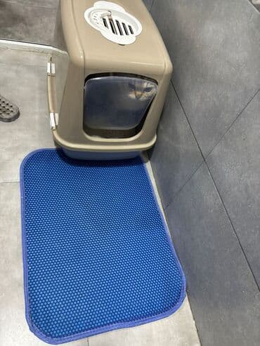 QAZ: Britan, Erkək, Ünvandan götürmə — 6