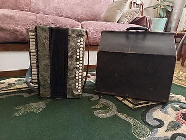 Skripkalar: Qarmon, Akustik — 2