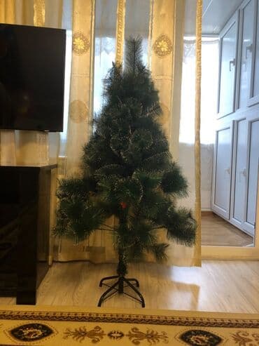 Tecili ! Teze Yolka satilir. Ⓜ️ 28 maya çatdirilma var. Срочно !