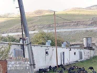 Bağ evlərinin satışı: Siyəzən, 12000 kv. m, 3 otaqlı, Qaz, İşıq, Su — 6