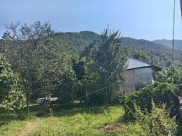 sumqayitda evler 2 otaqli: Dağ ətəyində yaşıllıqla əhatələnmiş həyət evi - Geniş, meyvə ağacları — 1