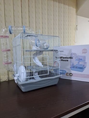 xamyak qəfəsi: Xamyak qəfəsi (cunqarik qefesi) Xamyak qəfəslərimizin 3 növü — 21