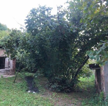 xacmazda satılan evlər: 7 соток, Собственник, Купчая — 1