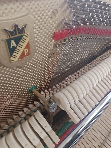 pianino daşınması: Pianolar — 8