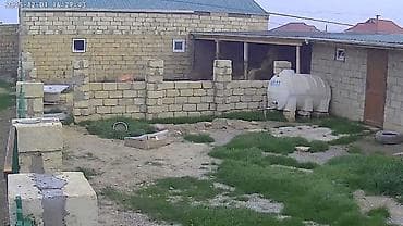 bileceri kiraye evler: Satılır: həyət evi və təsərrüfat sahəsi Abşeron rayonu Təzəkənd. - — 4