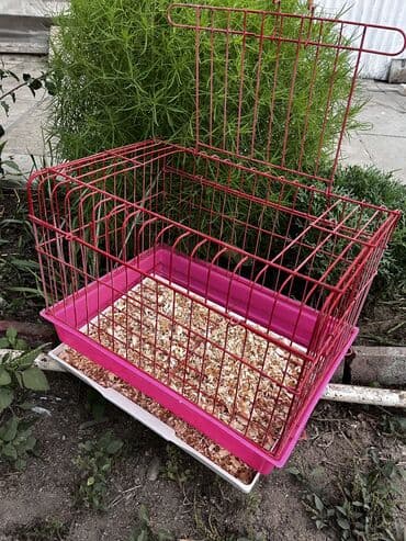 pişik maneji: Etrafli vp 051 494 09 86 Qefeslerin her biri satişda var qefes bitende — 9