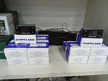 Оборудование для мойки: Soyuducu və soyuq otaq sistemləri üçün elektron temperatur — 2