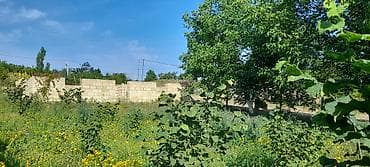 sumqaylt heyet evleri: 10 sot, Tikinti, Mülkiyyətçi, Kupça (Çıxarış) — 3