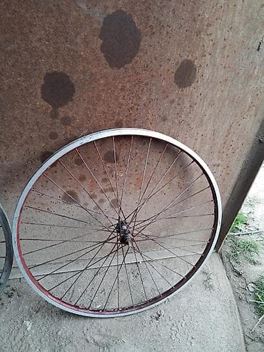 velosiped şinləri: Velosbet Patruşqaları Kamerləri Diskiləri Hər Bir şey var sadəcə — 1