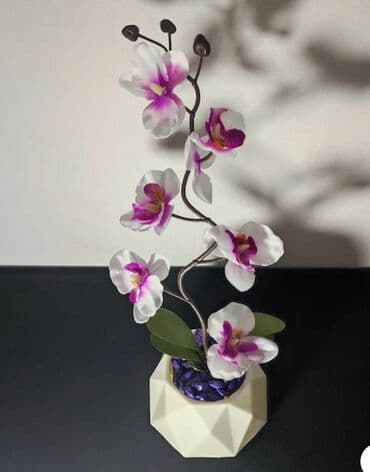 Orxideya dekor dibçek